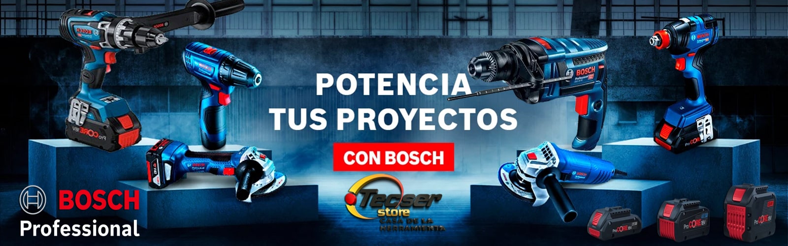 02_banner_boch_tecserstore-min